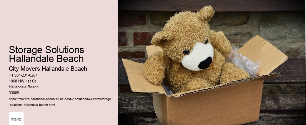 Storage Solutions Hallandale Beach